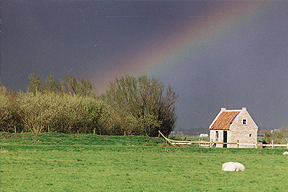 Kooihuisje op Terschelling